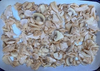 Rei cozinhado salgado Oyster Canned Mushroom 150g