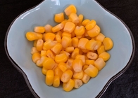 o núcleo inteiro de 150g não GMO enlatou o milho doce para a salada