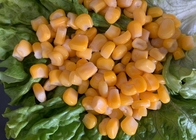 HALAL nenhum gosto aberto fácil de GMO bom enlatou o milho doce