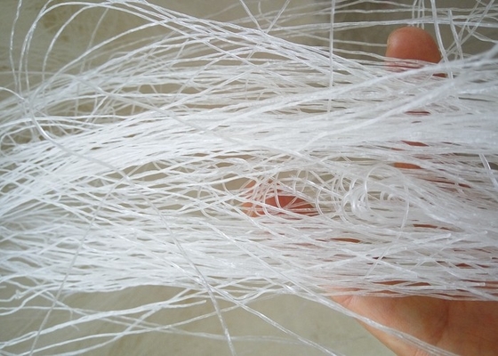 OEM Longkou Vermicelli Noodles para embalagem e marca personalizada