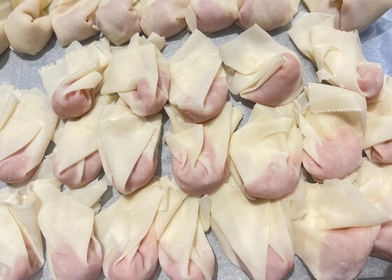 Invólucros Wonton | Certificado BRC e HALAL | Fábrica padrão da UE