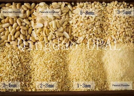 Amendoim Cru Descascado e Branqueado Premium, HALAL e em Conformidade com a UE, Amendoim Cru sem Pele para Importação