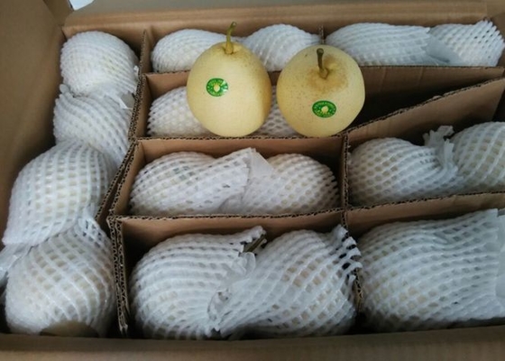 Pera oriental deliciosa