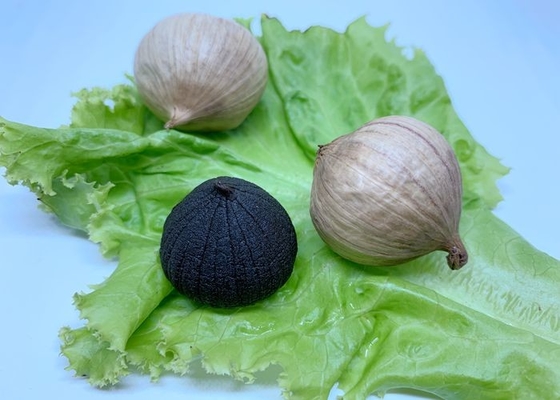 3.5cm desidratou o alho preto