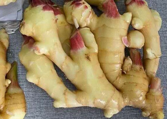 gengibre 300g secado ar amarelo