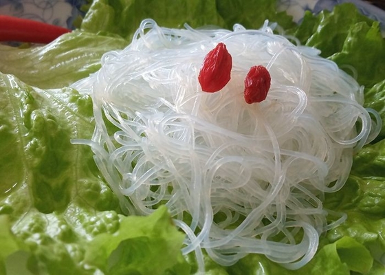 Cozinhando Mung Bean Glass Noodles
