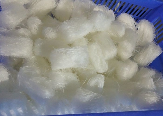 Cozinhando Mung Bean Glass Noodles