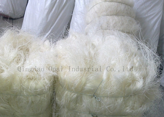 Aletria Bean Thread de Shandong Longkou
