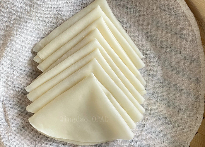 Fábrica chinesa de embalagens de rolinhos primavera congelados | Padrão da UE, Takeaways do Reino Unido e adaptação de fast food