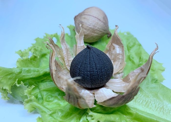 A categoria do alimento natural fermentou o alho preto para a hipertensão