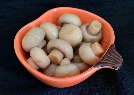 Cogumelos de botão enlatados inteiros cozinhados