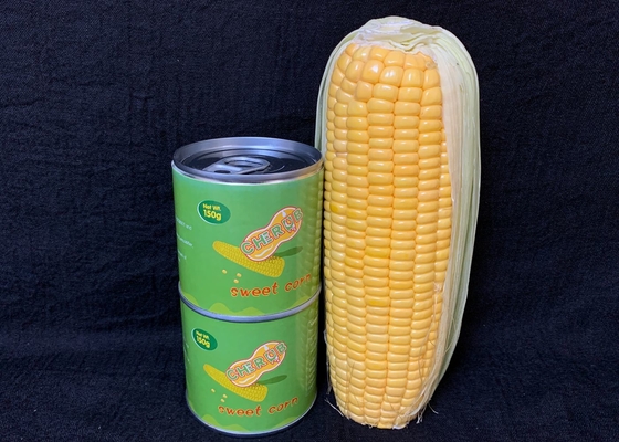 HALAL nenhum gosto aberto fácil de GMO bom enlatou o milho doce